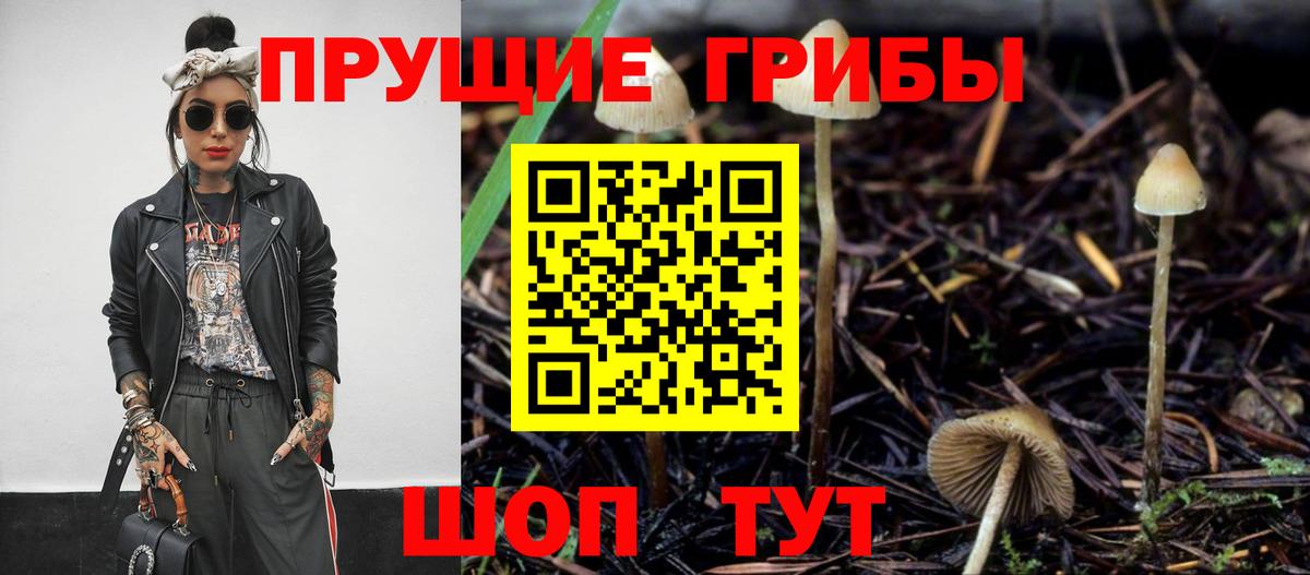 Камень-на-Оби  Псилоцибиновые грибы прущие грибы  Вход с VPN  Псилоцибиновые грибы ЛСД 